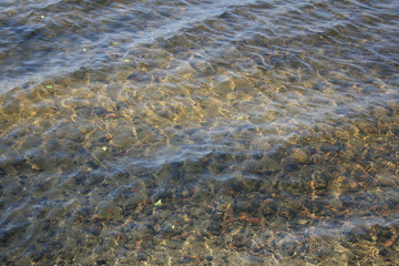 Water on the beach