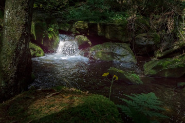 Steinklamm 2018-9   Wasserfall und Bachlauf in der Steinklamm bei Spiegelau im bayerischen Wald.
