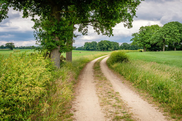 It is a cloudy day and rain isn't far away on this summer day in June on the so-called 'Deldener Es' near the small city of Delden in a region called Twente, located in the province of Overijssel 