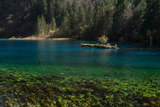 Colourful Lake in Jiuzhaigou Scenic Area, Sichuan, China during Autumn