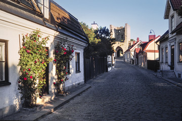 Fototapeta na wymiar Visby old town street with red roses