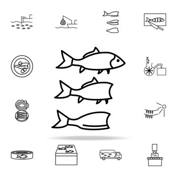 cutting fish icon. fish production icons universal set for web and mobile