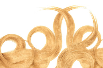 Blond hair isolated on white background. Long beautiful ponytail in shape of circle