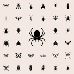 spider icon. insect icons universal set for web and mobile
