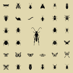 grasshopper icon. insect icons universal set for web and mobile
