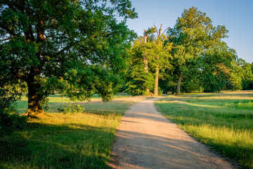 Sunset at a lonely path in a typical Dutch farm landscape in the summer month of June. This landscape is near the small city of Delden in a region called Twente, located in the province of Overijssel
