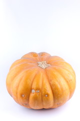 Pumpkin on white background. Isolated pumpkin. Orange vegetable close up. Healthy food