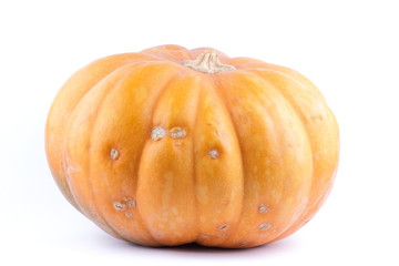 Pumpkin on white background. Isolated pumpkin. Orange vegetable close up. Healthy food