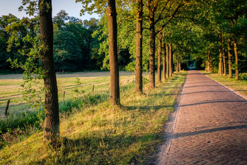 Sunset at a lonely path in a typical Dutch farm landscape in the summer month of June. This landscape is near the small city of Delden in a region called Twente, located in the province of Overijssel