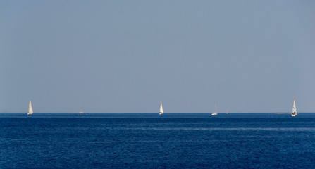 Sailboats at sea