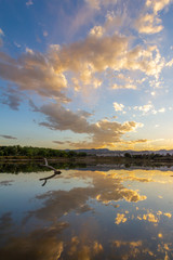 Sunset in the Wheat Ridge Green Belt, along the Clear Creek Trail, Wheat Ridge Colorado, USA.
