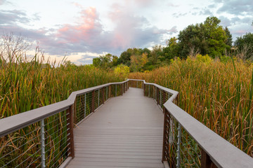 Sunset in the Wheat Ridge Green Belt, along the Clear Creek Trail, Wheat Ridge Colorado, USA.