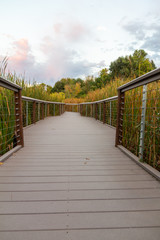 Sunset in the Wheat Ridge Green Belt, along the Clear Creek Trail, Wheat Ridge Colorado, USA.