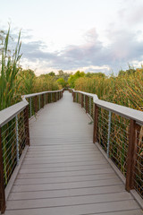 Sunset in the Wheat Ridge Green Belt, along the Clear Creek Trail, Wheat Ridge Colorado, USA.