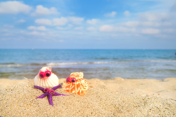 Fototapeta na wymiar Funny shells at the beach
