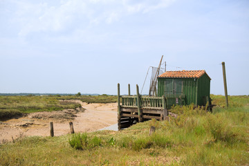 Oyster cabine from fisherman