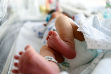 Pies de recién nacido con código de identificación 03 - obrazy, fototapety, plakaty