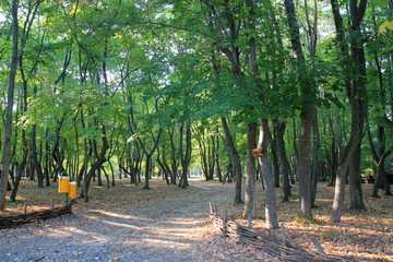 Тропинки в парке Университетского ботанического сада г. Варна (Болгария)  © dinar12