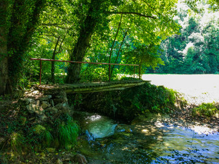 Bridge crossing a river flowing through trees in a green forest in Asturias, Spain. Camino de Santiago