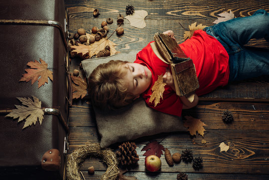 Kid having fun with Leaf fall. Cute little child boy are getting ready for autumn. Kid playing in autumn. Little cute boy lies on a wooden floor with autumn leaves and read book. Autumn concept.