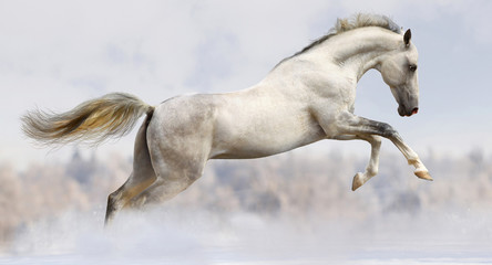 Panele Szklane  white horse jumping
