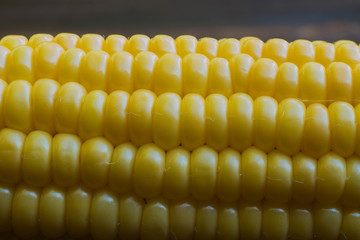 sweet fresh corn close up