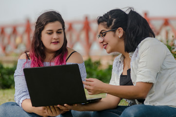Portrait of peruvian pretty smiley face fat woman working laptop on a park.