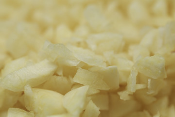 Super close up of a fresh garlic.