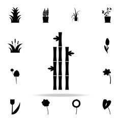 bamboo icon. Plants icons universal set for web and mobile