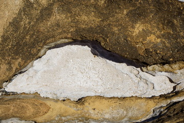 rocks near the sea where a layer of salt is found due to evaporation after the tide has dropped.