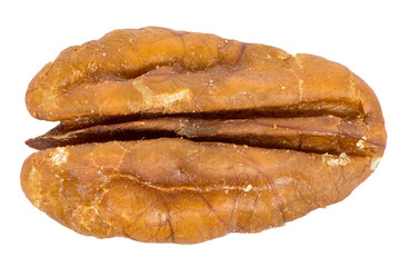 Close-up of pecan nut isolated on white background