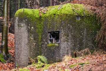 Concrete pillbox with camouflage loophole, a part of Czechoslovakian defence fortifications from 1935–1938, covered with moss standing in Eagle mountains in wet forest, Czech Republic, Europe