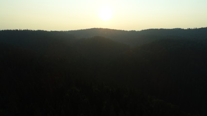 aerial view on a wild mountains  pinetree forest on beautiful sunrise