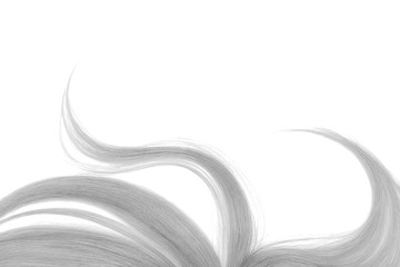 Long disheveled gray hair, isolated on white background