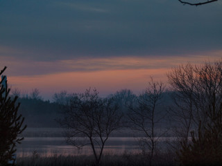 sunset in the forest