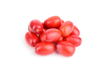 Cornus Culinary and Medicinal Herb Plant. Also Cornelian Cherry, European Cornel or Cornelian Cherry Dogwood. Isolated on White Background.