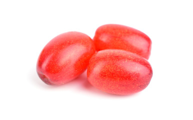 Cornus Culinary and Medicinal Herb Plant. Also Cornelian Cherry, European Cornel or Cornelian Cherry Dogwood. Isolated on White Background.