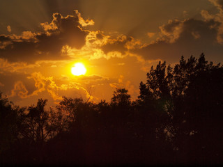 sunset in the forest