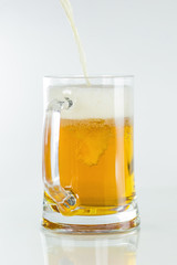 Beer on white background.