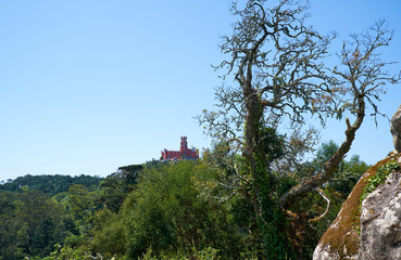 Pena Palace on the top of Sintra Mountains as seen from the Moorish castle. Sintra. Portugal
