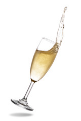Champagne splash out of glass isolated on white background.