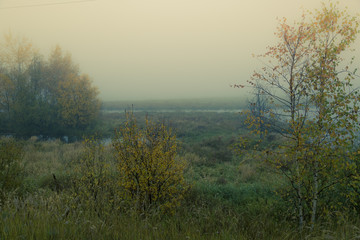 Autumn thick fog over a forest swamp