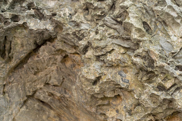 Stone Texture
