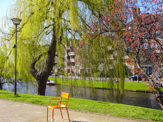 Orange bench in a park