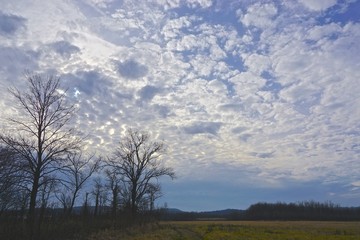 Obraz na płótnie Canvas Durham, Connecticut, USA: Winter sky filled with clouds over White Farm, a public park.