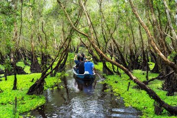 traveler sightseeing over the traditional  boat in tra su forest, Mekong Delta travel, vietnam
