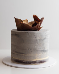 chocolate cake on white background