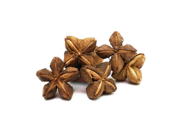 SACHA INCHI on white background