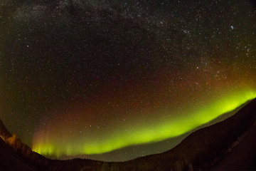 秋のアラスカのオーロラ Aurora Alaska autumn

