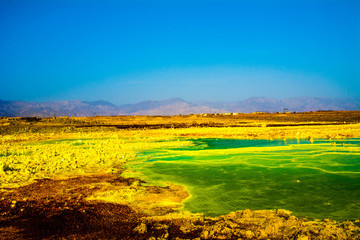 landscape with yellow field and blue sky, Danakil, Ethiopia